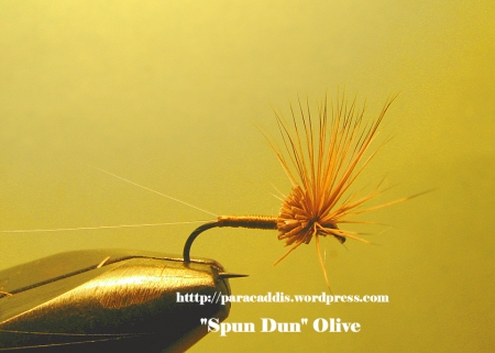 Olive Spun Dun