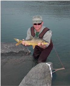 Smallmouth Orange River Yellowfish.