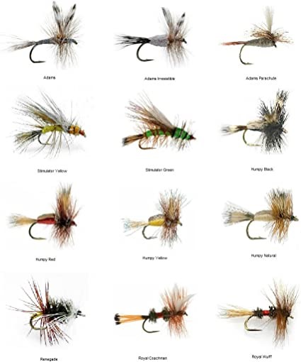  Fly Fishing Flies by Colorado Fly Supply - Drowned Ant Fly  Pattern - Terrestrial and Ant Fly Patterns for Fly Fishers - Fly Fishing  Lures - Trout Lure - Fishing Flies